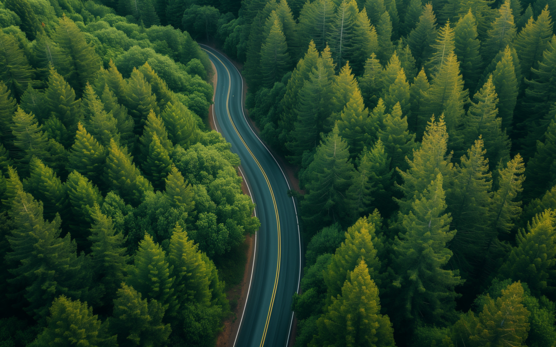 A curvy road through Redwood trees. Migrating to Oracle Redwood can be challenging for orgs if they don't know what is around the corner.