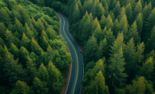 A curvy road through Redwood trees. Migrating to Oracle Redwood can be challenging for orgs if they don't know what is around the corner.